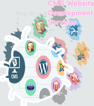 Cms website development company