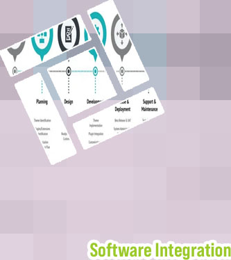 Custom enterprise software development