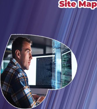 It development specialist